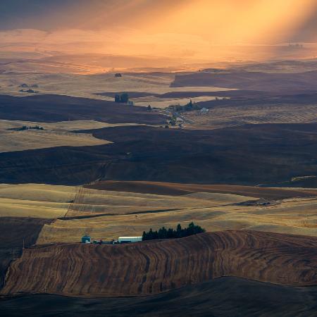 Palouse Impression