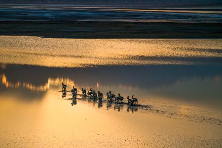 Sunset Crossing