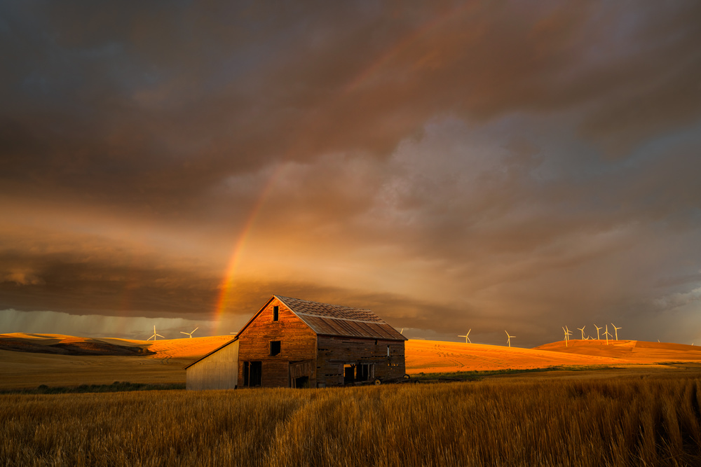 Witness of the Rainbow von John Fan