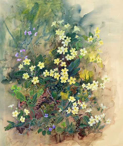 Primrose Bank  von John  Gubbins