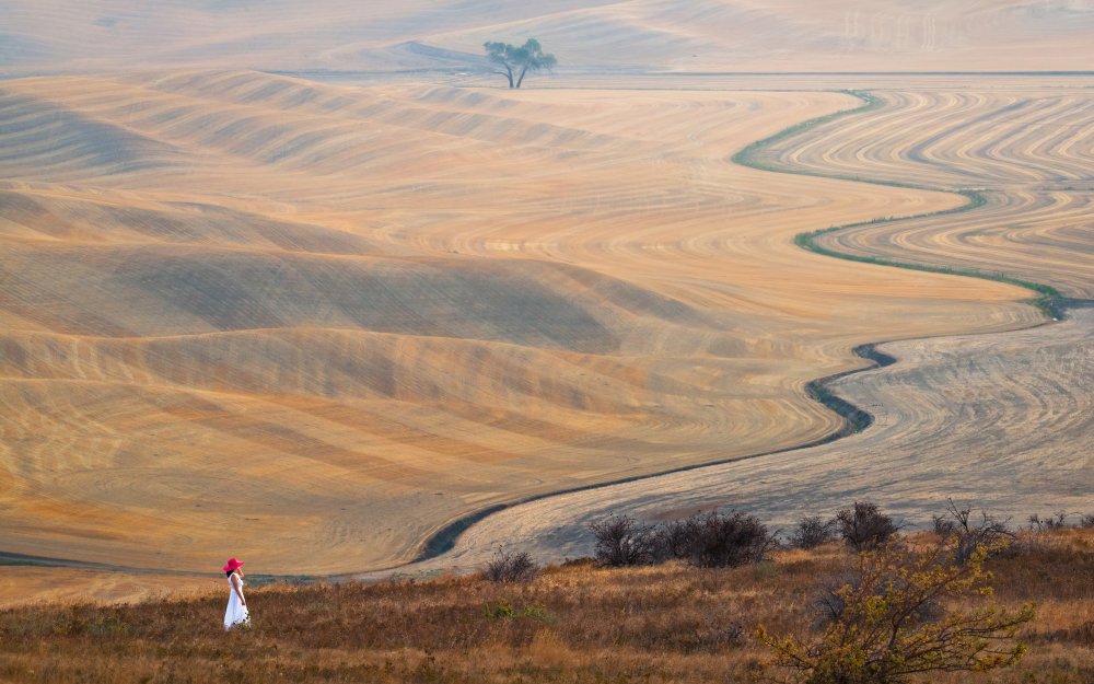 The Curve at Wheatfield von John J. Chen