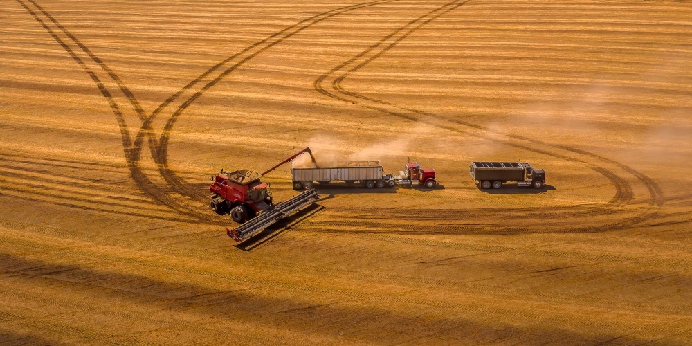 Autumn Harvest von John J. Chen