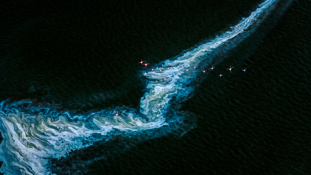 Dances with waves von John J. Chen