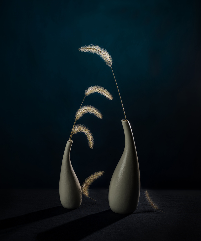 Dogtail grass von John-Mei Zhong