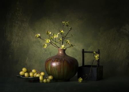 dogwood flower  and green mood