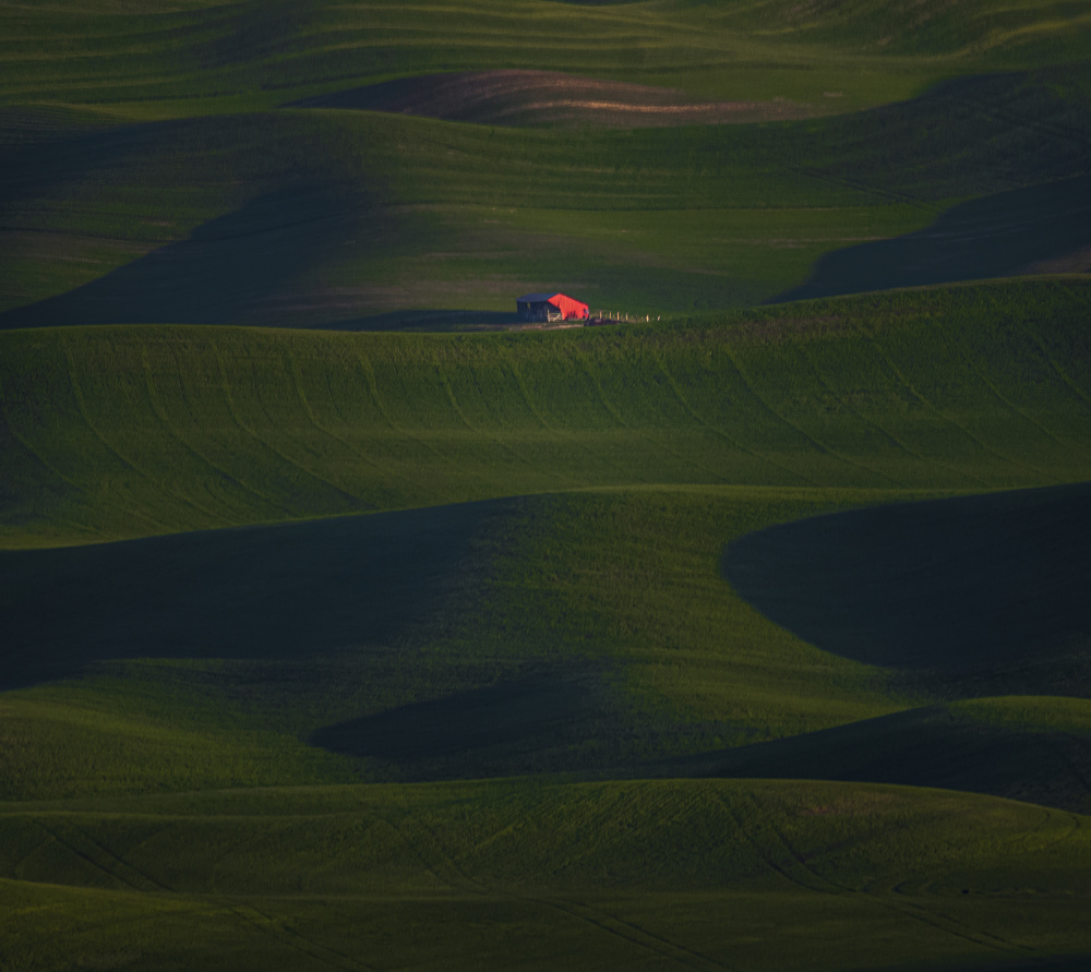 Wavy Field von John-Mei Zhong