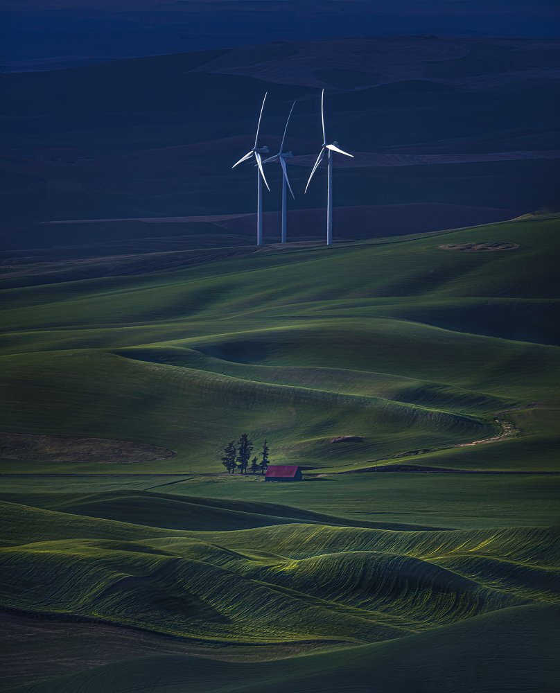 WindMills von John-Mei Zhong