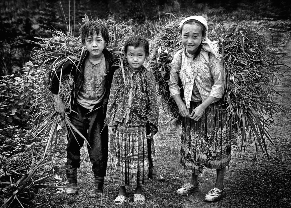 Grass cutters of Ha Giang... von John Moulds