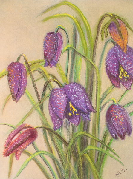 Bunch of Fritillaria von Margo Starkey