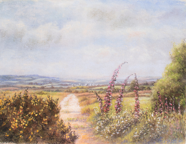 Foxgloves on Dartmoor von Margo Starkey