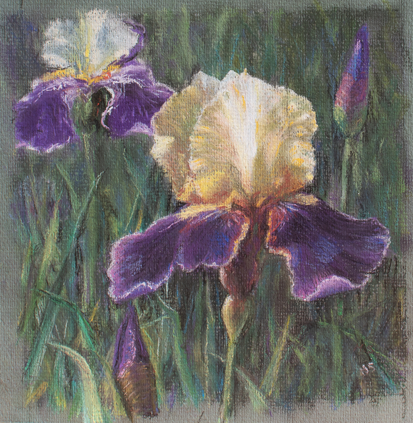 Iris, Tallin park, Estonia von Margo Starkey