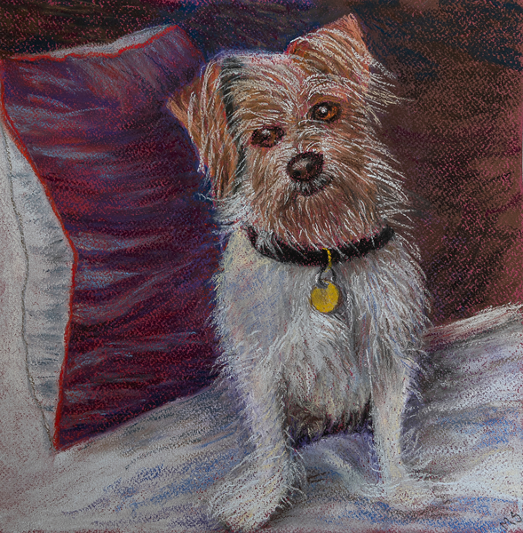 My little dog on silk cushion von Margo Starkey