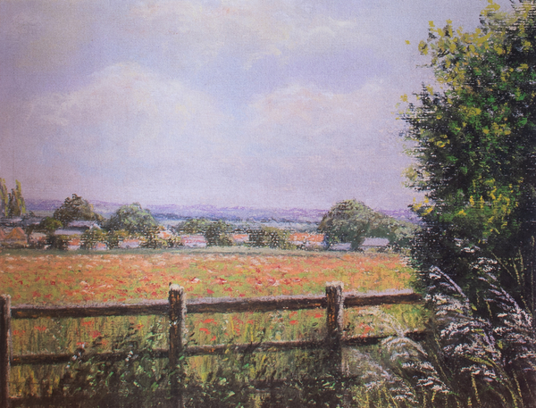 Poppy Field, Cookham von Margo Starkey