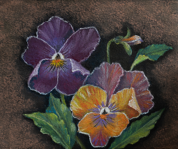 Three Pansies von Margo Starkey