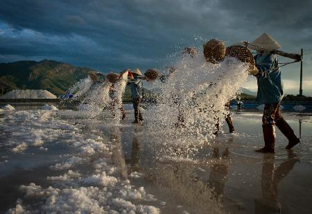 Salt field at work