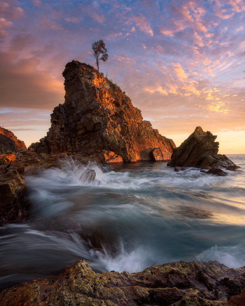 One Tree, Cuttagee Beach von Johnny James