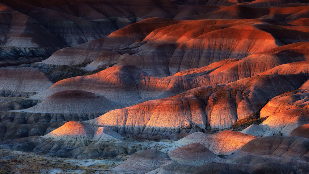 Painted Desert von Johnny Zhang