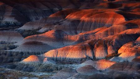 Painted Desert