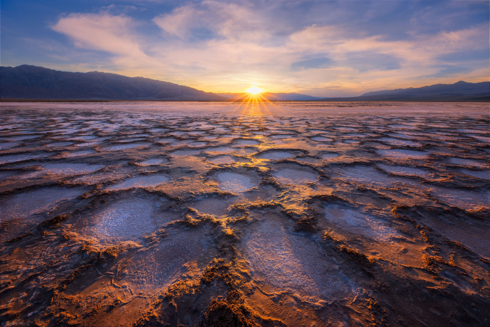 Fluffy von Johnny Zhang