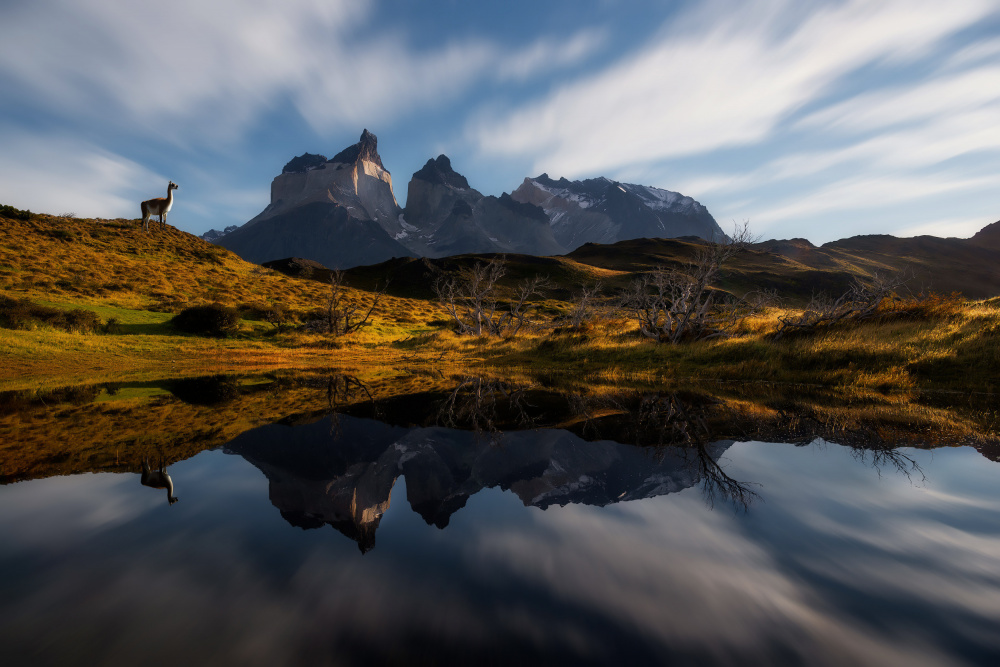 Good Morning, Cuernos von Johnny Zhang