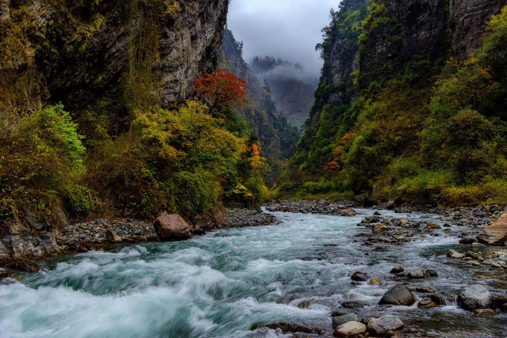 Autumn Spirit von Johnny Zhang