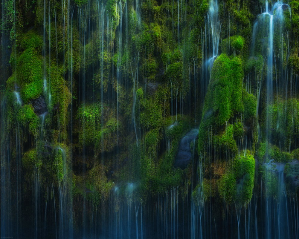 Mossy Waters von Johnny Zhang