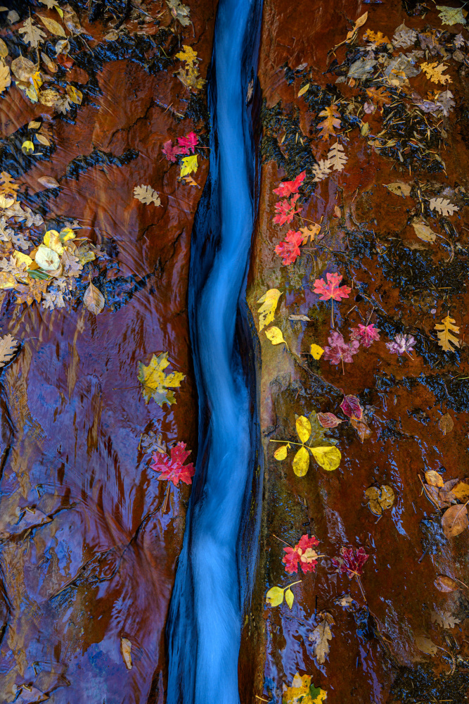 Narrow Path von Johnny Zhang