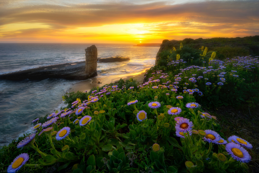 Sunset On The Coast von Johnny Zhang