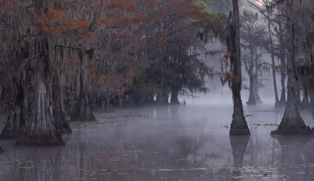 Lake Caddo von Johnson Huang