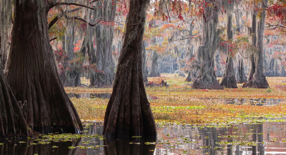 Lake Caddo von Johnson Huang