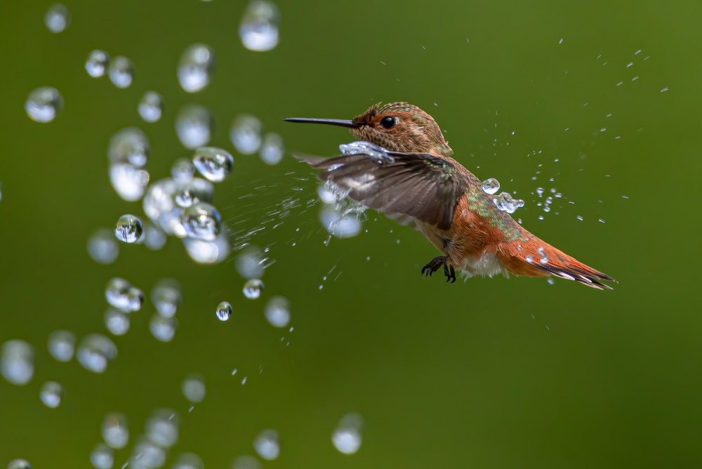 Playing water von Johnson Huang