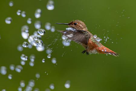 Playing water