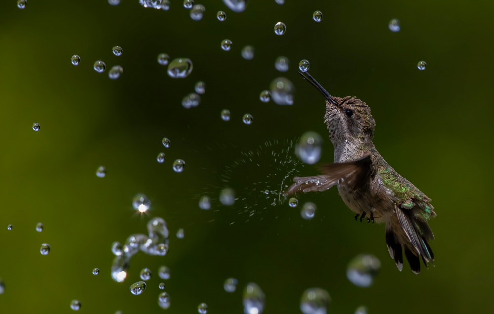 Water playing von Johnson Huang