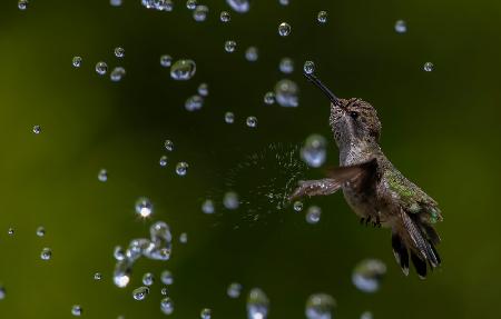 Water playing