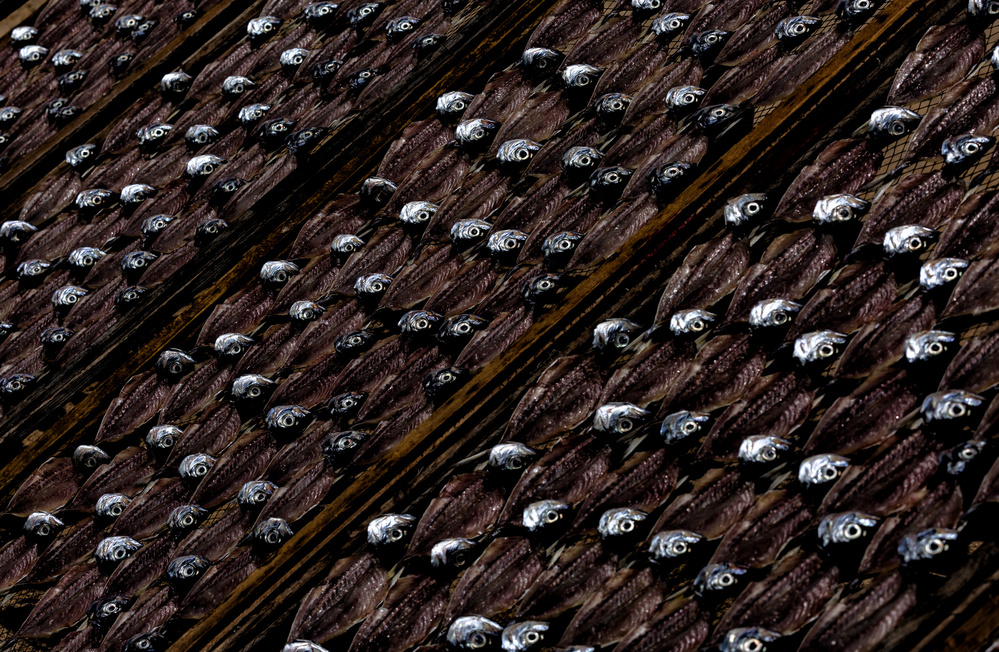 Fish drying in the sun von Jois Domont ( J.L.G.)