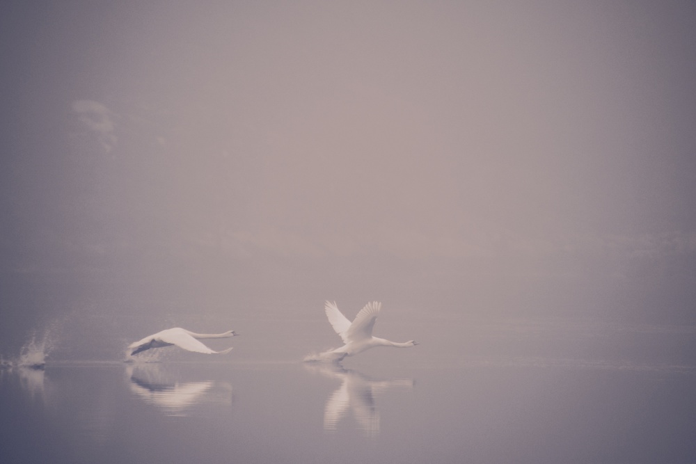 Foggy takeoff von Jonas Dalheim