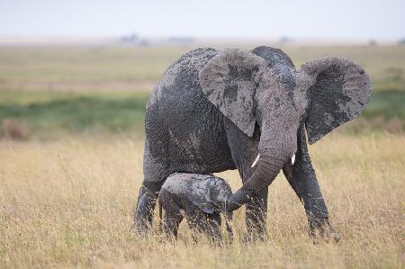 Under Mothers Embrace