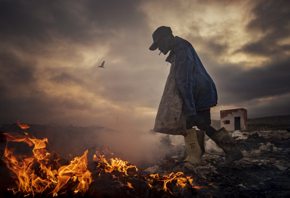 Scavengers von João Coelho