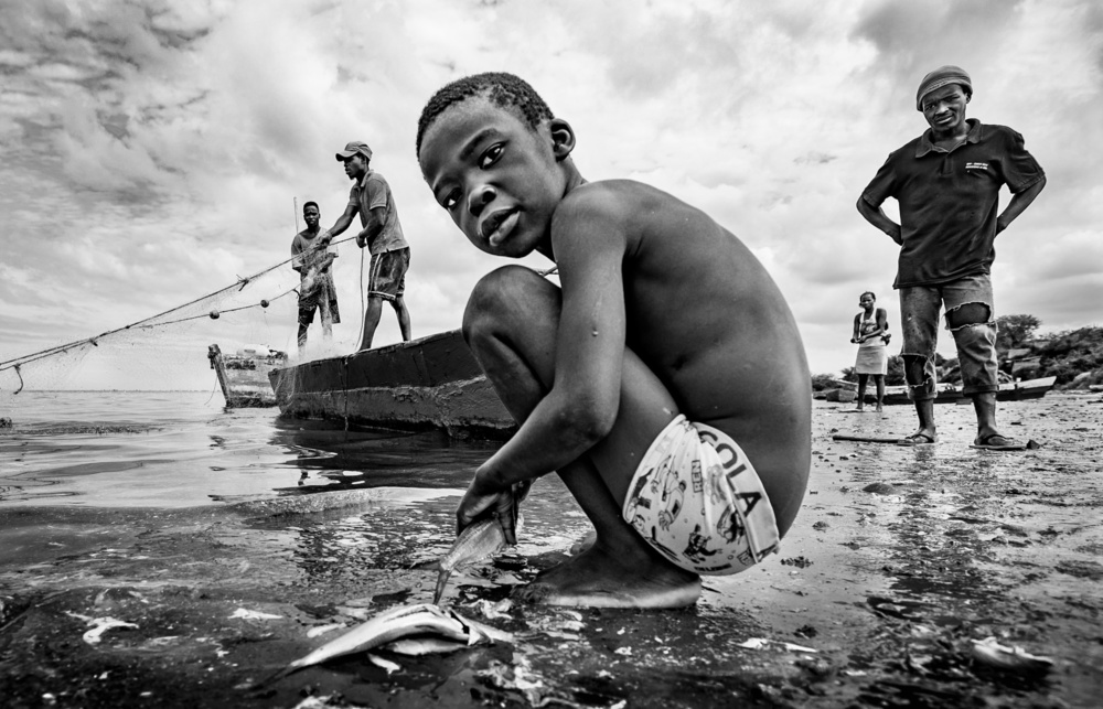 The low tide gift von João Coelho