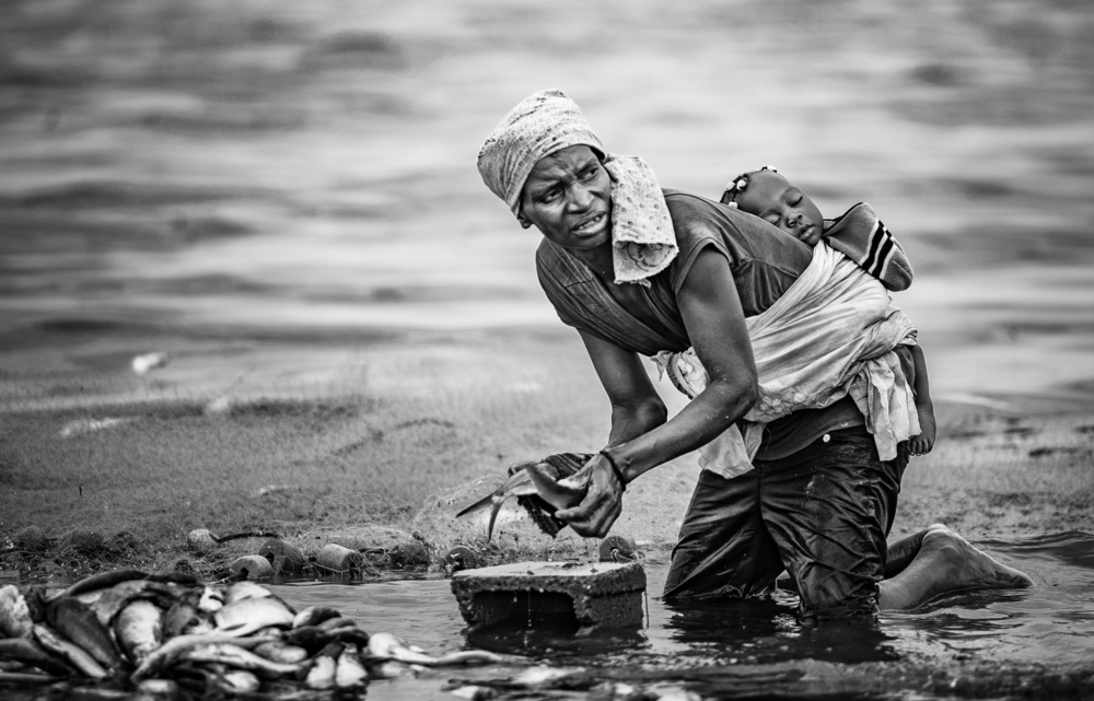 Resilience von João Coelho