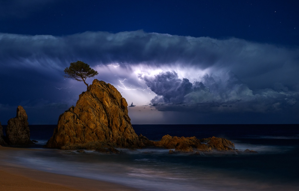 A Storm Behind the Pine von Jordi Ferré