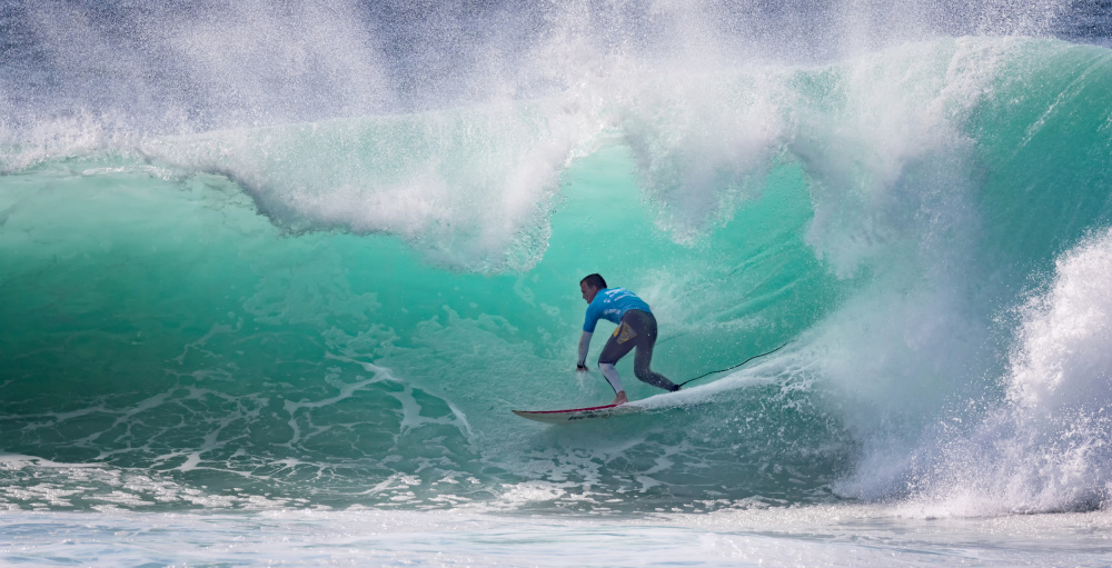 Green wall von Jorge Feteira