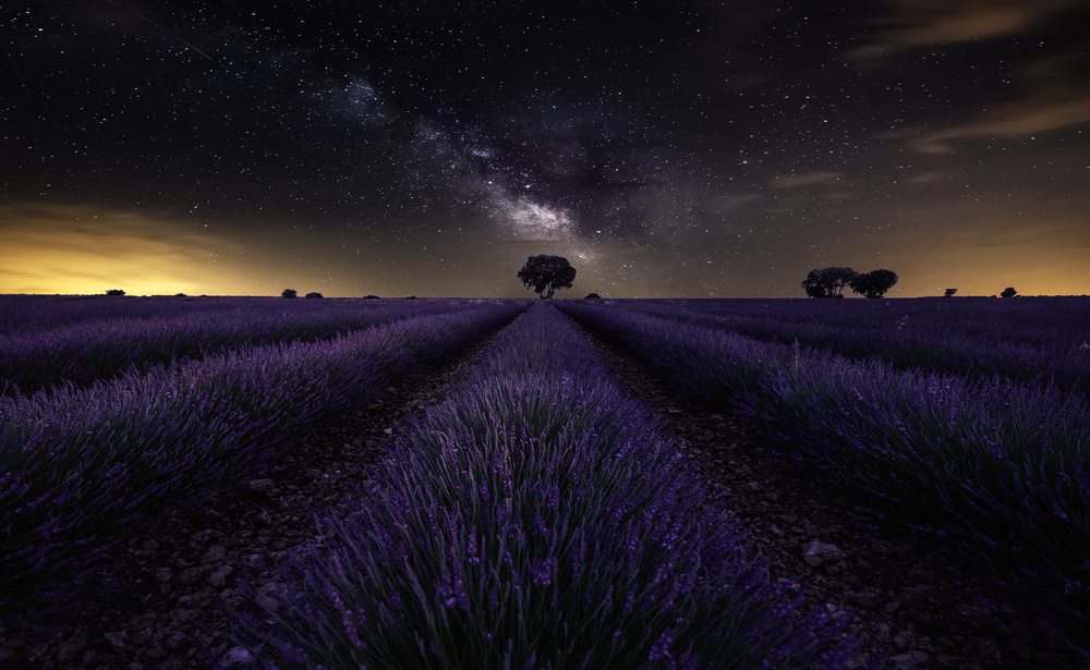 Fields of Castilla von Jorge Ruiz Dueso