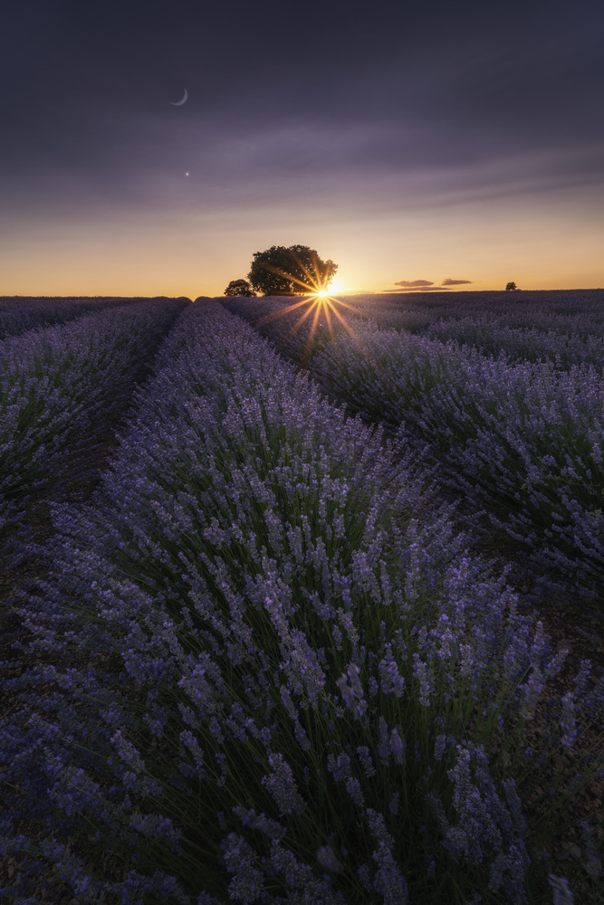 Conjunction von Jorge Ruiz Dueso