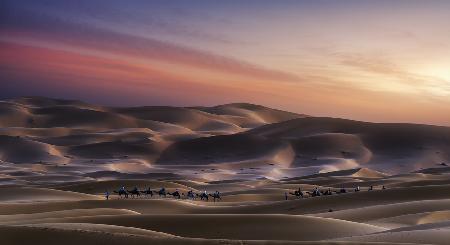 Caravan in Erg Chebbi