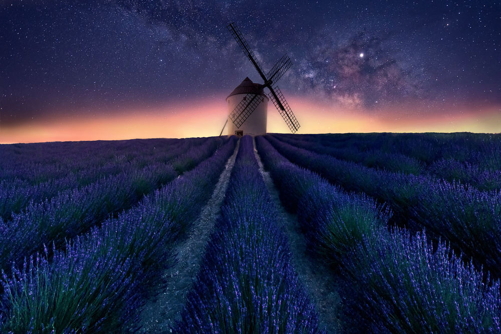 Lavender night von Jose Antonio Triviño Sanchez