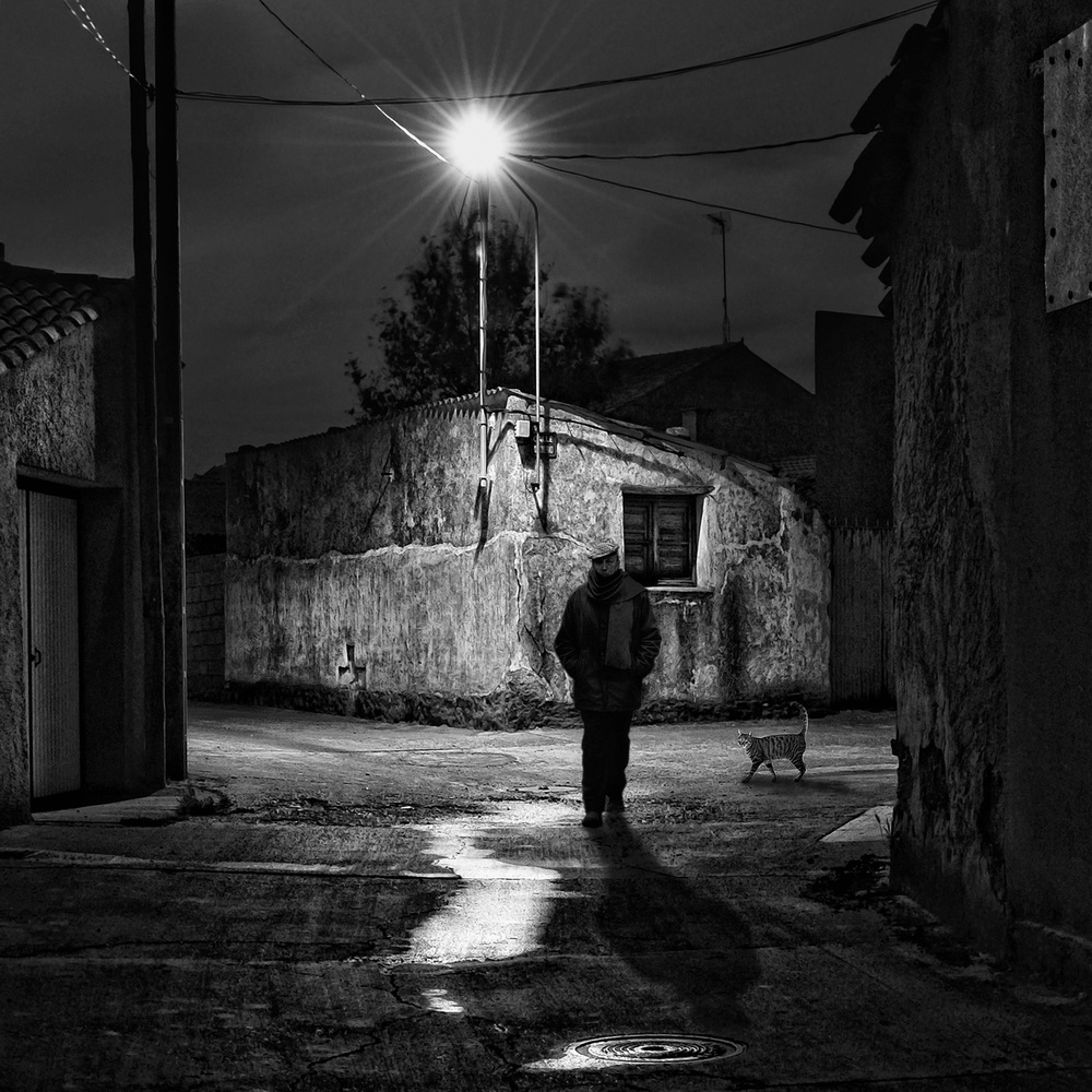 Loneliness von Jose C. Lobato