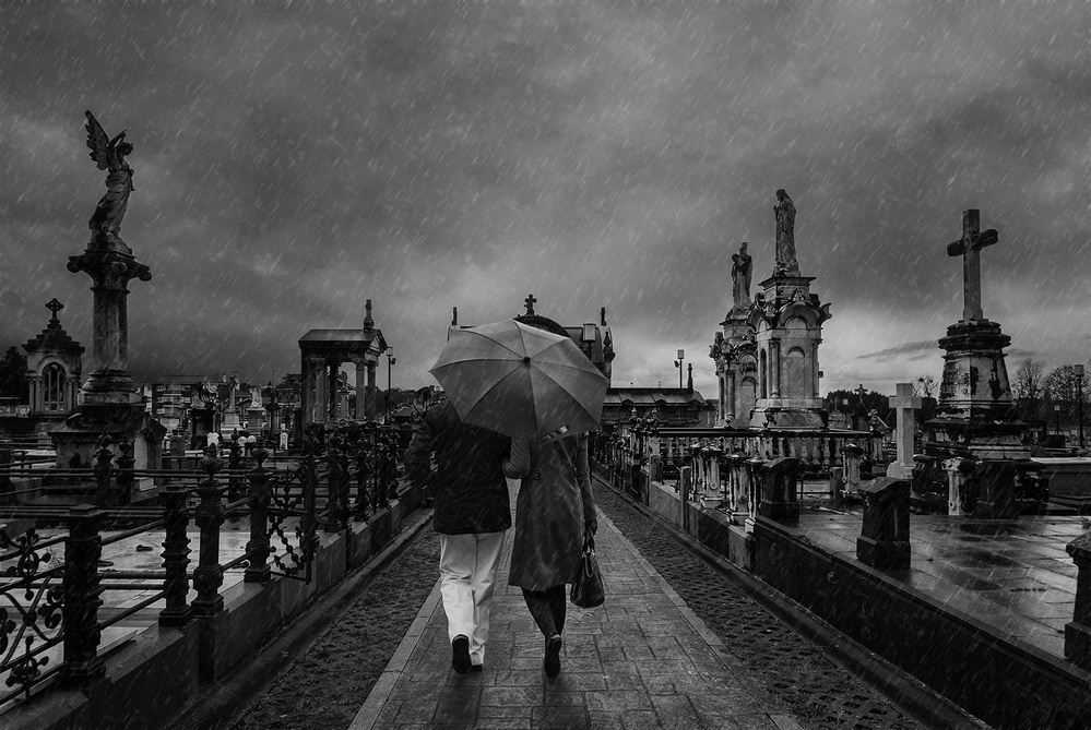 Sad walks von Jose C. Lobato