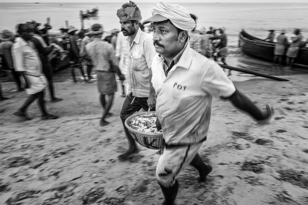 arrivage des filets de pêche von José Fangueiro