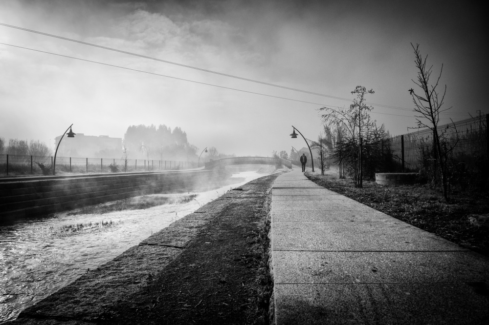 morning light von José Fangueiro